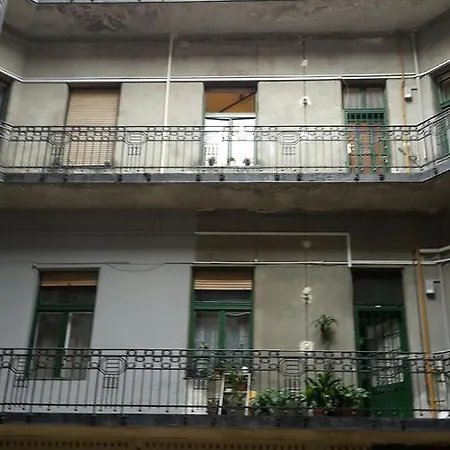 Fatmaguel * Budapest